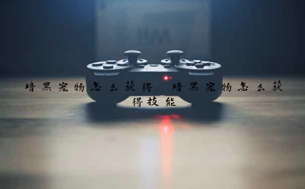 暗黑宠物怎么获得　暗黑宠物怎么获得技能